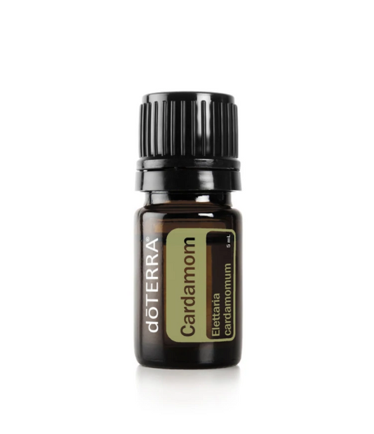 Cardamom Essential Oil