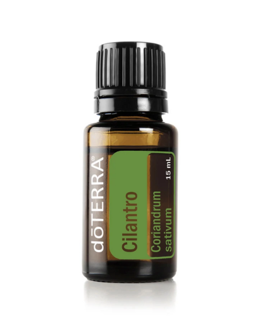 Cilantro Essential Oil