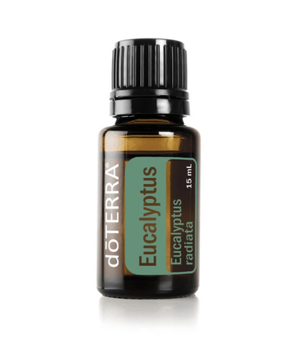 Eucalyptus Essential Oil