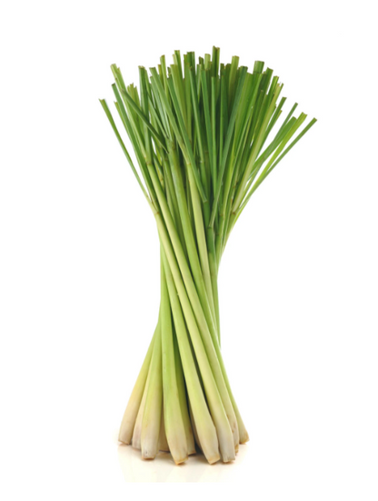 Lemongrass Essential Oil