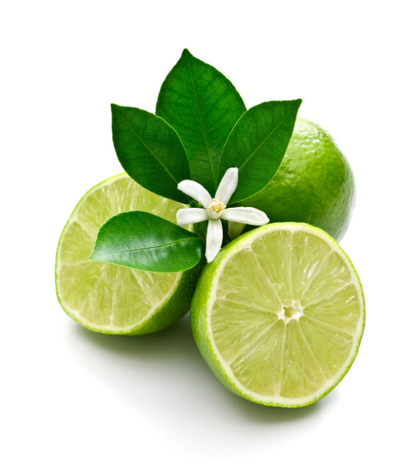 Lime Essential Oil