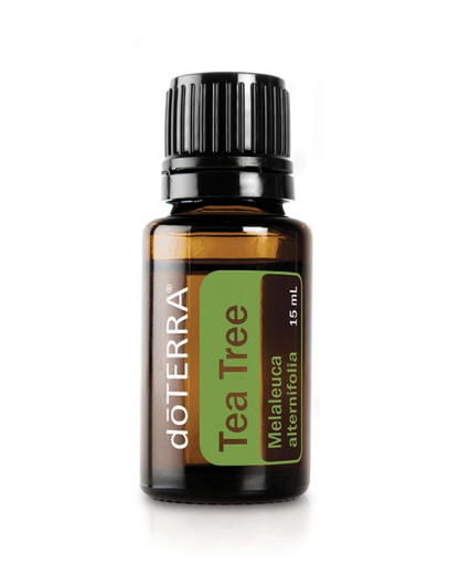 Tea Tree (Melaleuca) Essential Oil