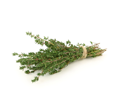 Thyme Essential Oil