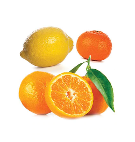 Citrus Bliss Invigorating Blend